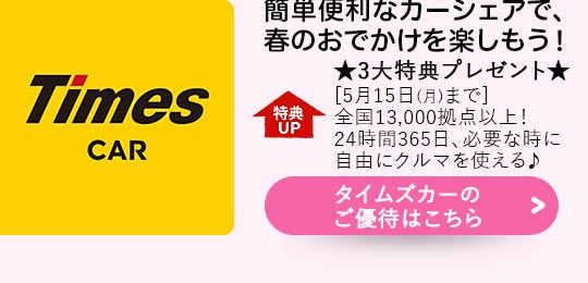 $B%?%$%`%:%+!<$N$4M%BT$O$3$A$i(B